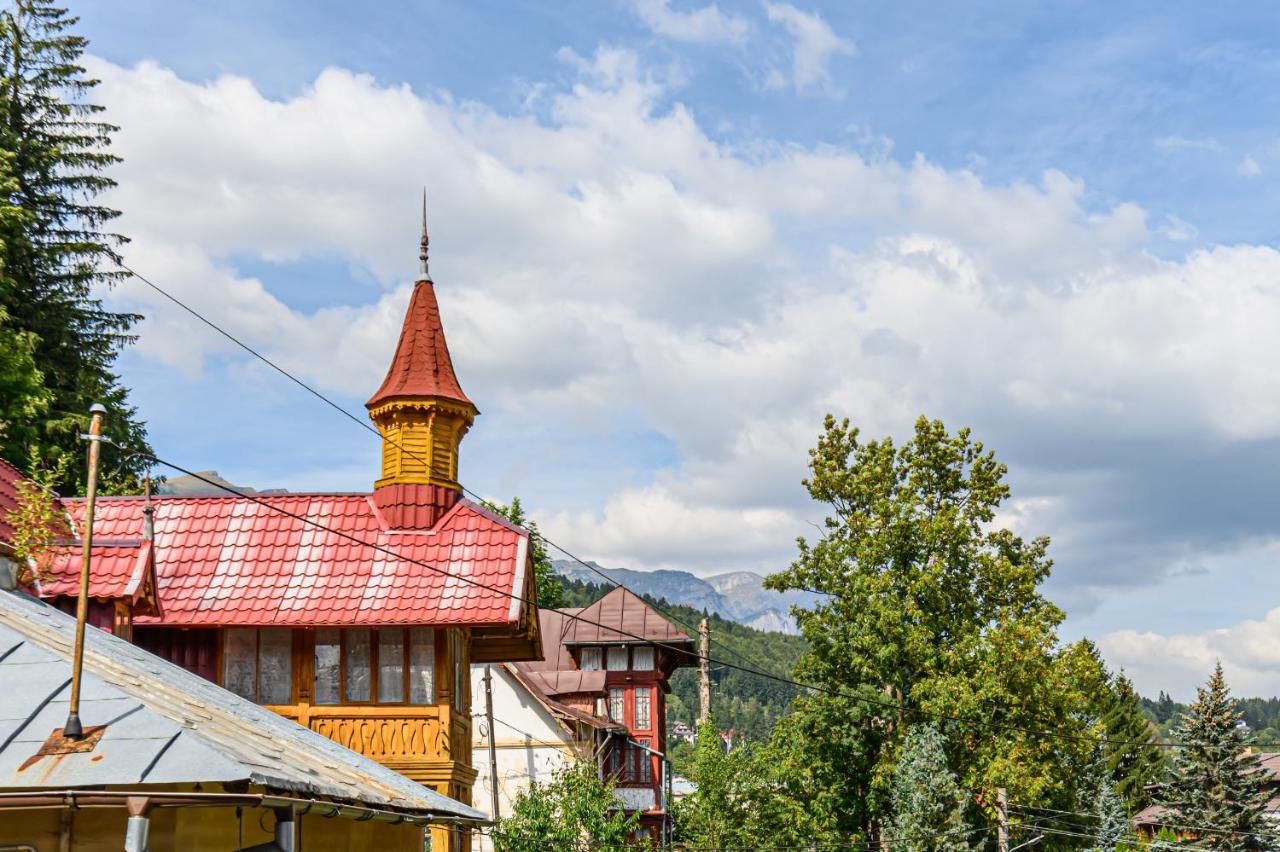 Mountain Oasis Apartment Sinaia Exterior photo